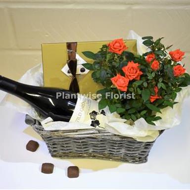 Red Wine Chocolates Rose Plant Gift Hamper Plantwise Florist Canvey