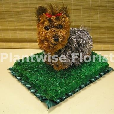 Yorkie Dog Made In Flowers For Funeral Funeral Flowers Canvey