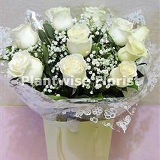 A Valentine's Day White Roses &amp; Gyp Handtied 