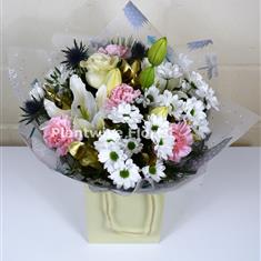 A Jack Frost Handtied