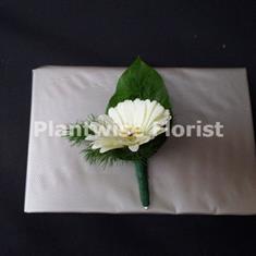 8 Fresh White Germini Buttonhole - Standard Design 