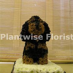 Cocker Spaniel Dog Made In Flowers For a Funeral
