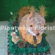 Squirrel 3D Made in Flowers For A Funeral