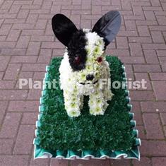 Black &amp; White Chihuahua Dog Funeral Wreath - 3D Design