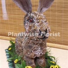 Hare Made In Flowers Specialist Tribute 