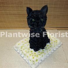 Black Cat Made In Flowers for a Funeral - 3D Design
