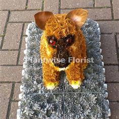 Brown Chihuahua Dog Flower Wreath - 3D Design