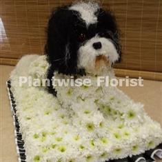 Shih Tzu Dog Wreath Made In Flowers For Funeral