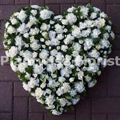 Carnation Loose Floral Heart Wreath 