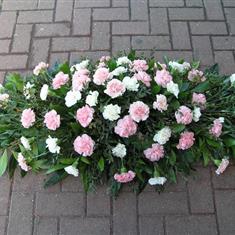 All Carnation Coffin Oasis Spray CodeCA46