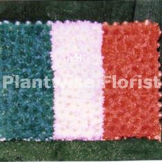 Large Size Flag Of Ireland Wreath Made In Flowers