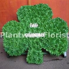 Green Shamrock Funeral Flower Wreath on Stand