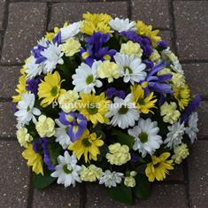 Posy Oasis Arrangement in Blue, Yellow, White