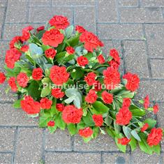 Carnation Spray in Red