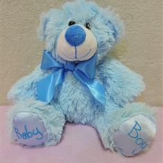 A Baby Boy Blue Teddy Bear