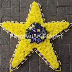 Large Size - Based Five Pointed Star Wreath in Yellow &amp; Purple