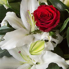 - Florist Choice - Romantic Flowers
