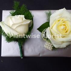 2D Fresh White Rose Wrist Corsage on Pearl &amp; Standard Buttonhole 