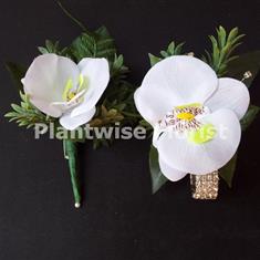 6D Silk White Orchid Wrist Corsage on Diamante &amp; Standard Buttonhole