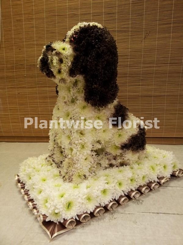Springer Spaniel Dog Made In Flowers For A Funeral
