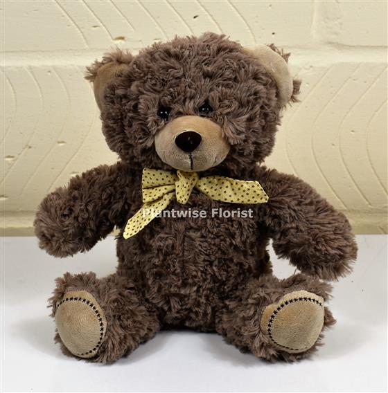 Coco teddy bear sales