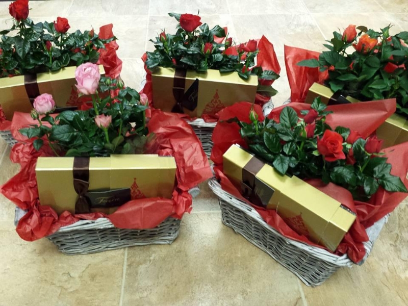 Chocolates and Rose Plant Gift Basket Plantwise Florist Canvey