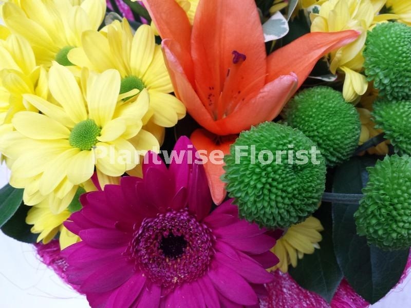 Zingy Vibrant Vase Plantwise Florist Canvey Island